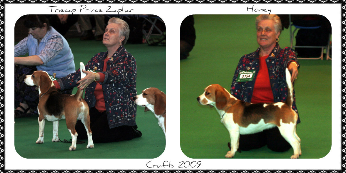 6a Crufts 2009 (2)