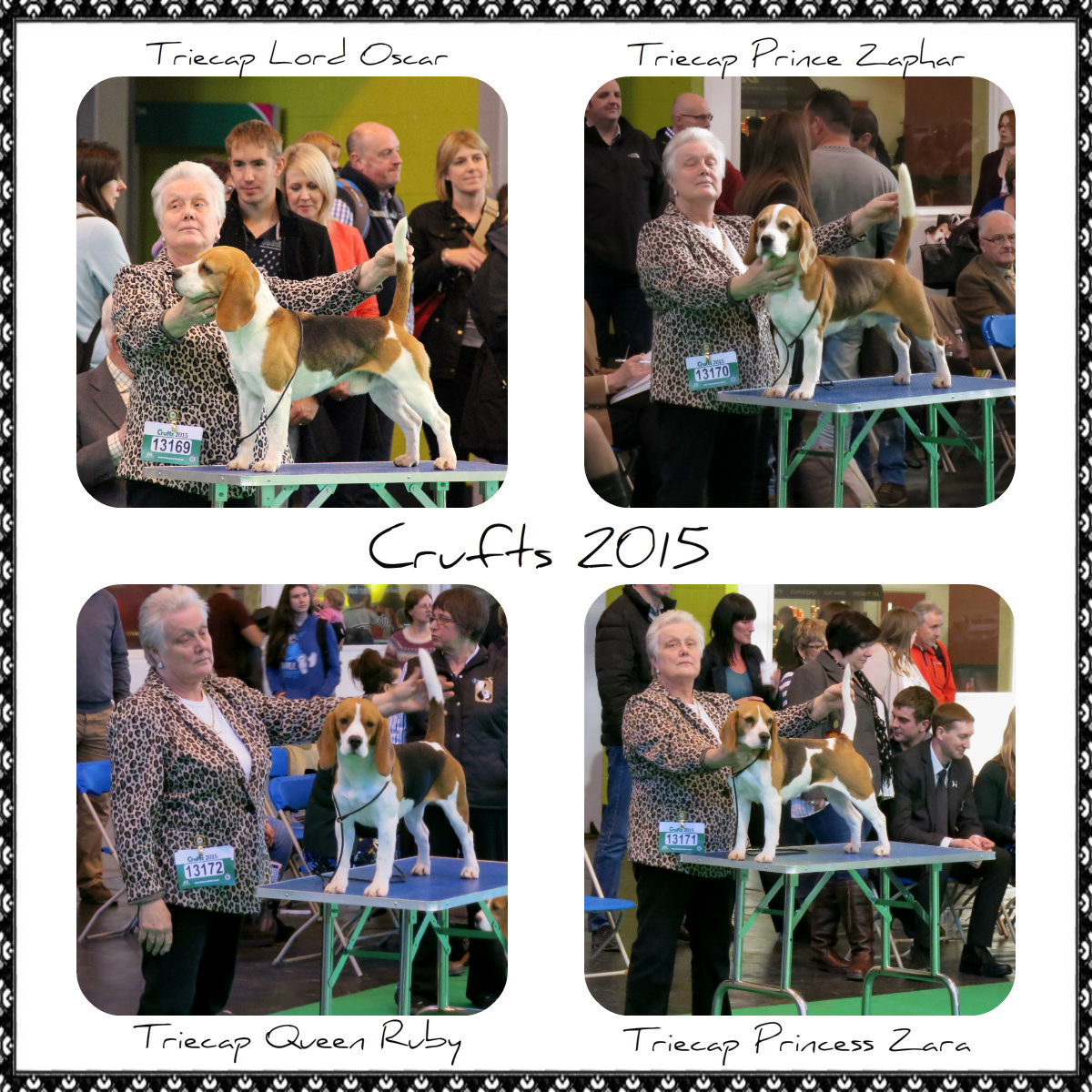 Crufts 2015 No.1.b.