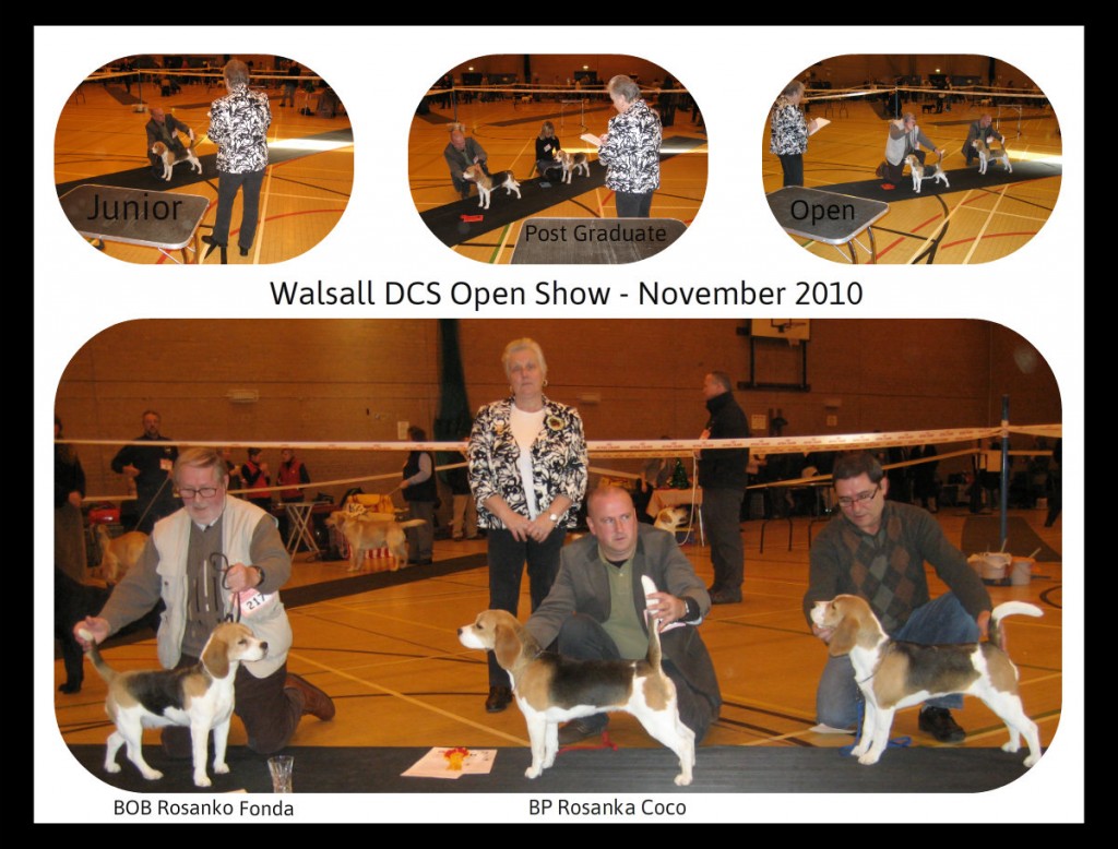 1 Walsal DCS Open Show Nov10
