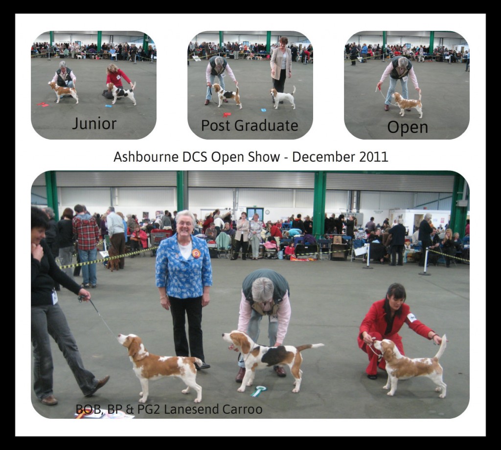 2 Ashbourne DCS Open Show Dec11