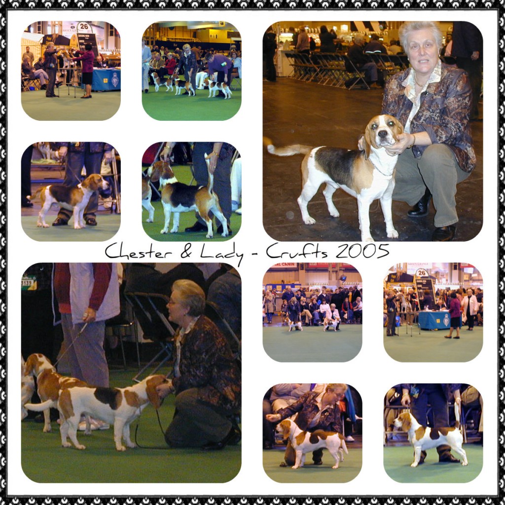 2 Chester & Lady Crufts 2005