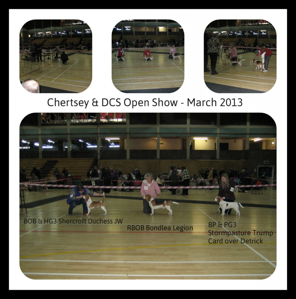 3 Chertsey & Disctrick CS Open Show March 2013
