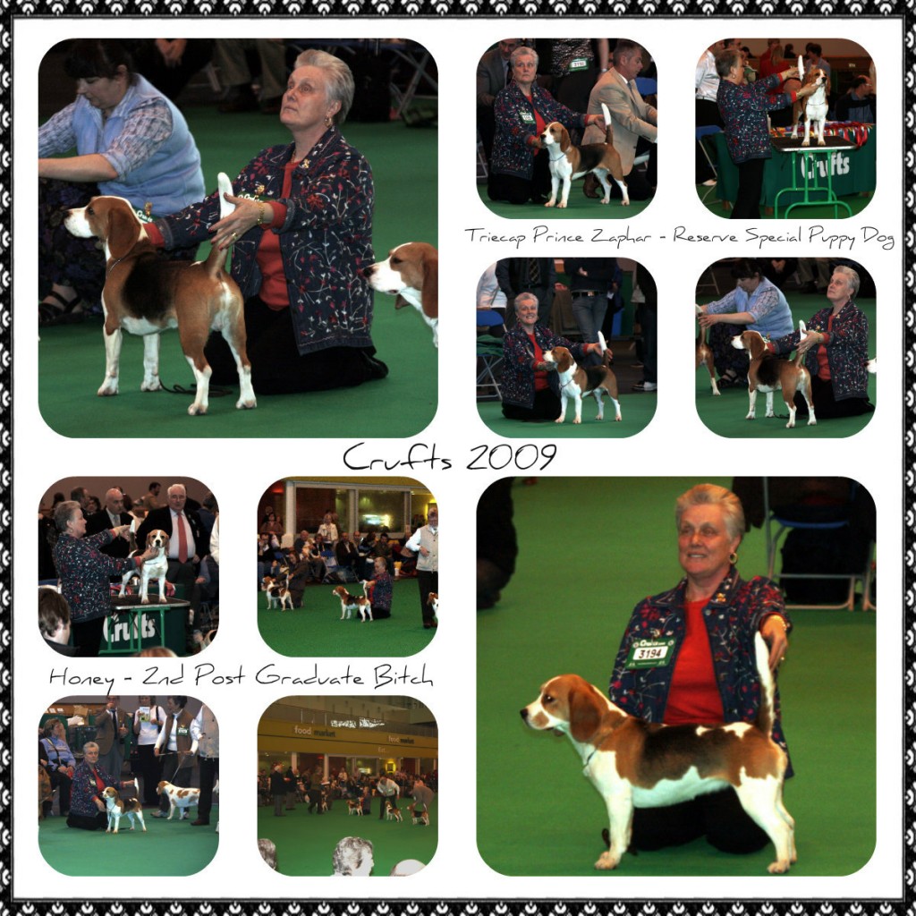 6 Crufts 2009 (2)