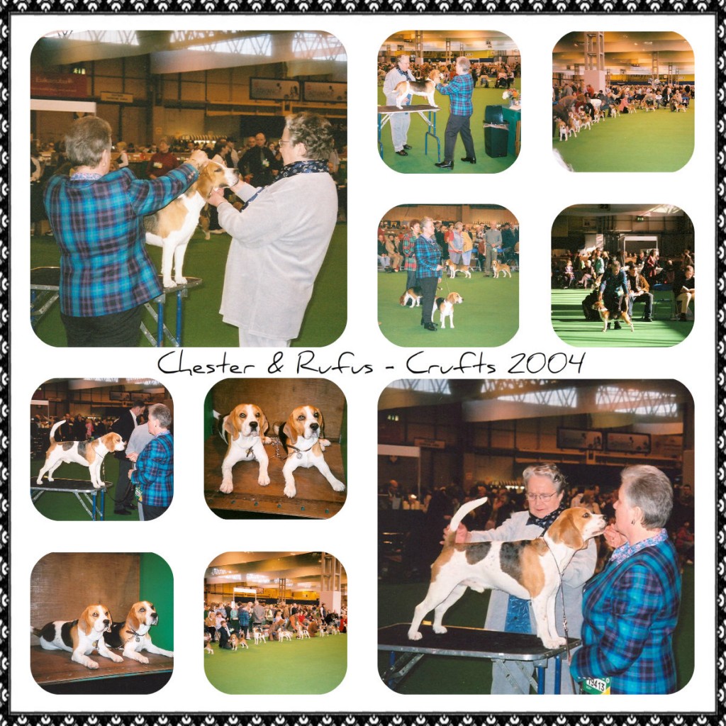 Chester & Rufus Crufts 2004