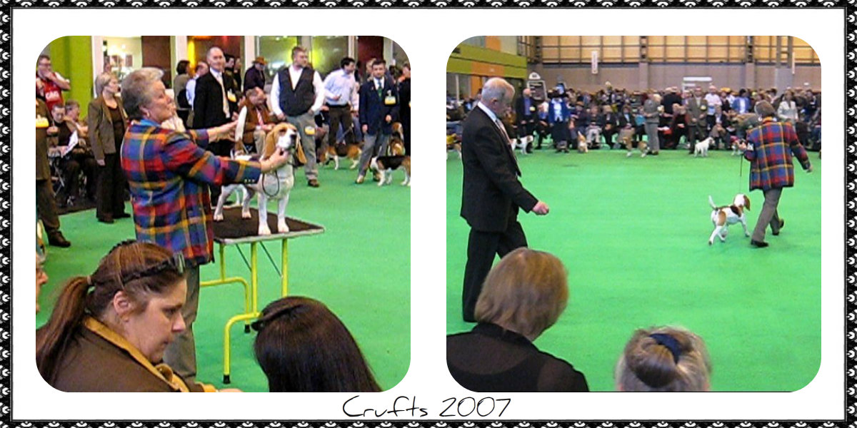 Crufts 2007