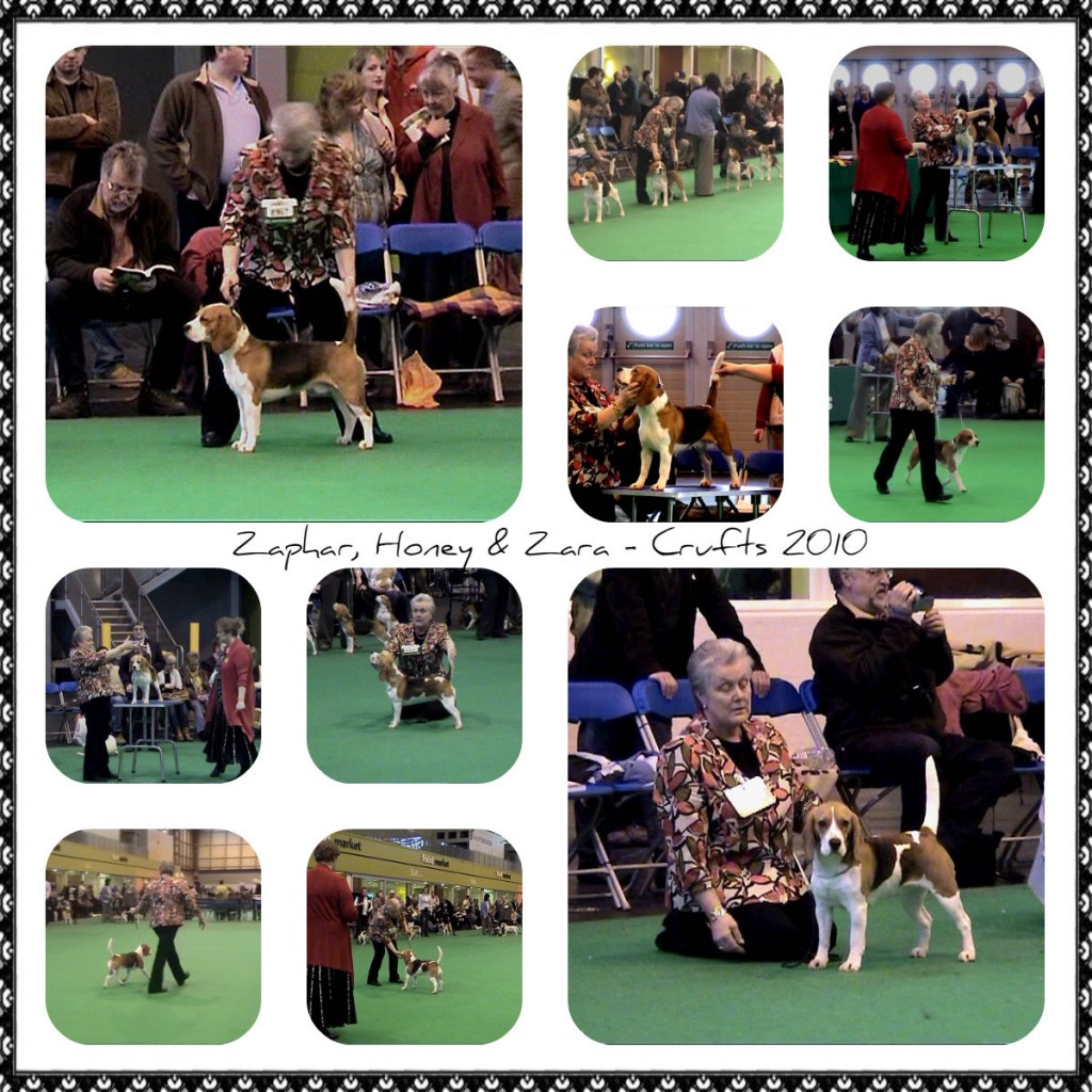 Crufts 2010a