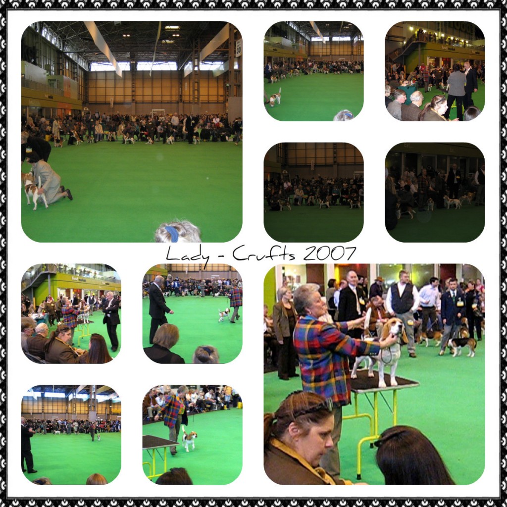 Lady Crufts 2007