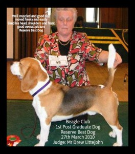 Beagle Club RBD