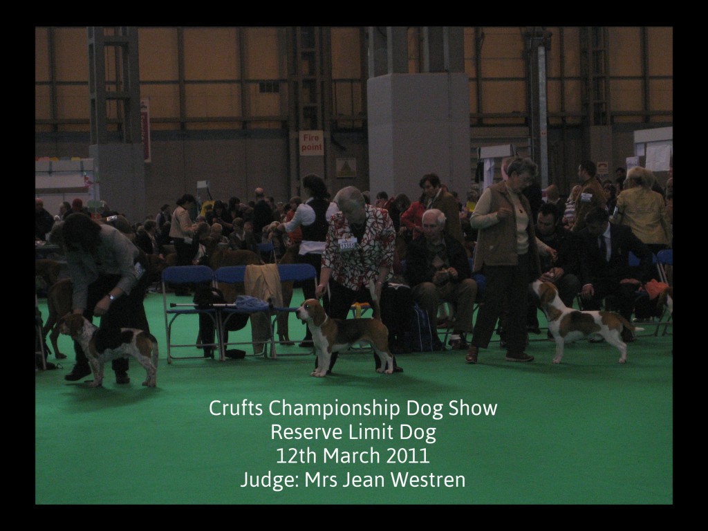 Crufts 1