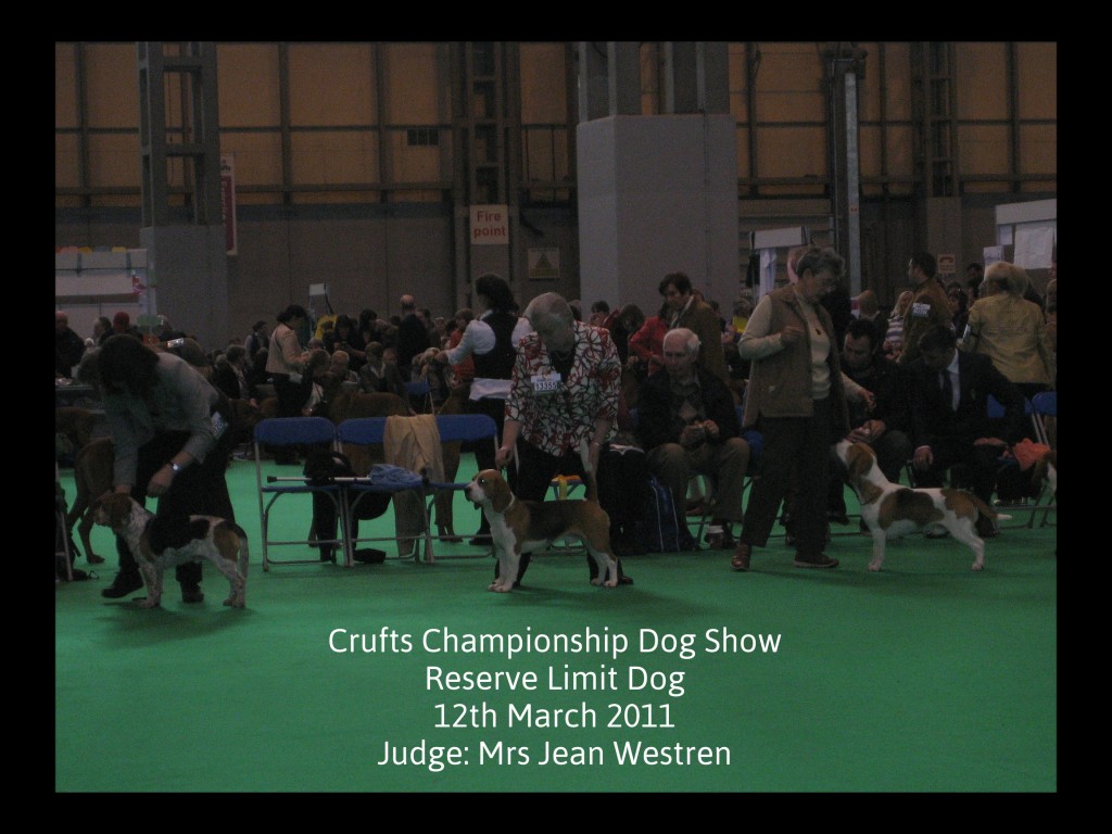 Crufts 1