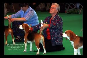 Crufts 2009