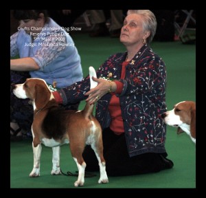 Crufts 2009a