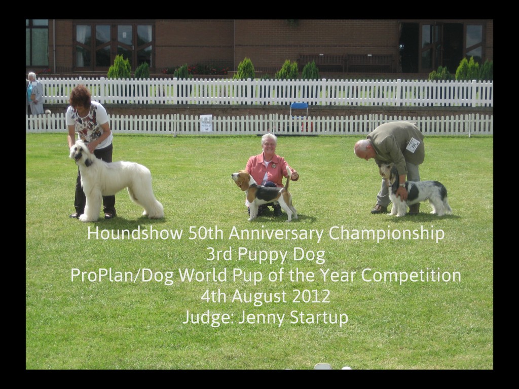 Stakes at Houndshow