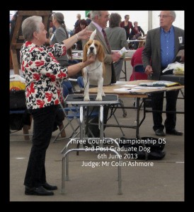 Three Counties Show