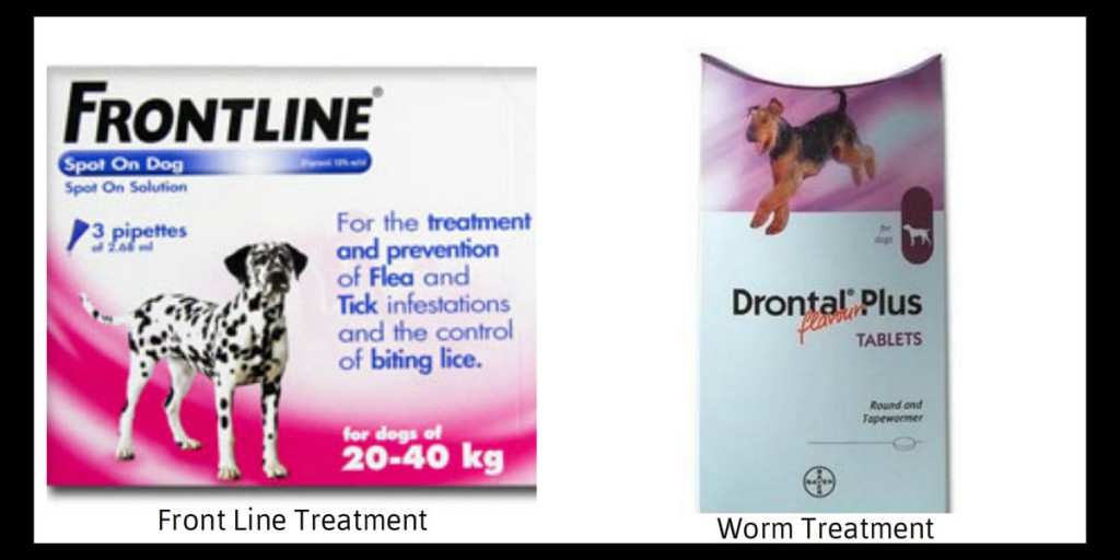 Front & Worm Treatment.1.