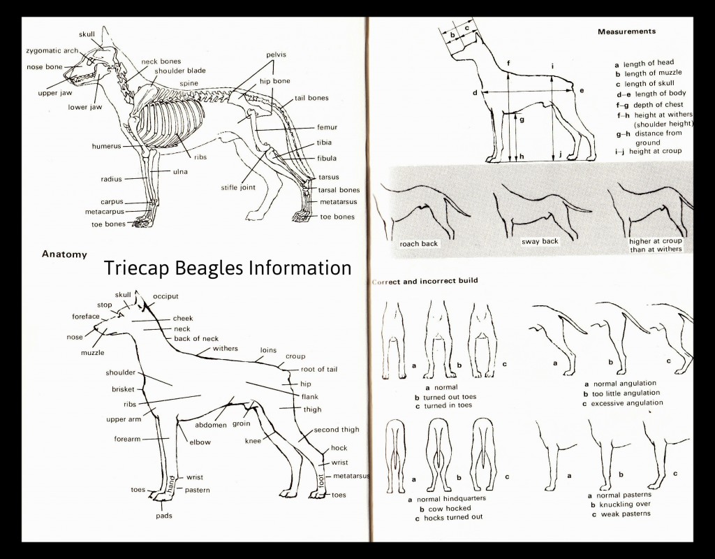 Information1